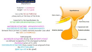 Pituitary Gland Physiological Anatomy Chapter 76 part 1 Guyton and Hall Physiology [upl. by Strohl591]