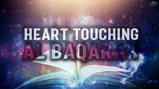 THE MOST HEART TOUCHING RECITATION OF SURAH BAQARAH [upl. by Lenhard53]