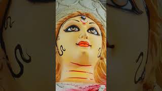 Mata Rani bhajan Navratri spacial🌺🌺🙏 trending viralshorts [upl. by Ymmas]