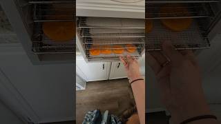 Dehydrating persimmons dehydrating food persimmon [upl. by Helbonnah]