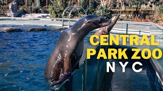 Exploring the Central Park Zoo and the Upper East Side NYC [upl. by Byers168]