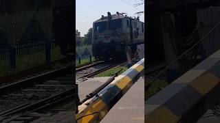 Train Horn Sound Effect Comparison Ludhiana WAP7 30651 and Tughlakabad WAP7 30335 hornsoundeffect [upl. by Rape594]