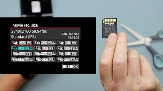 Lexar Professional v60 SDXC UHSII Card  Review amp Test [upl. by Bruni]