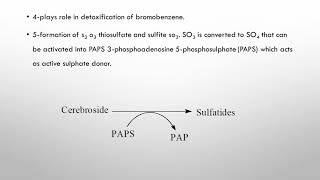 Inborn errors of amino acid metabolism [upl. by Vonni164]