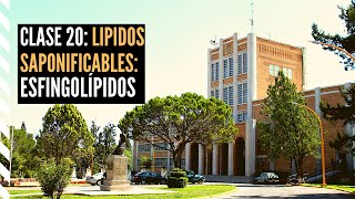 Lípidos Saponificables Esfingolípidos [upl. by Akima]