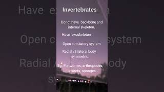 invertebrates  difference between vertebrates and invertebrates [upl. by Anrym]