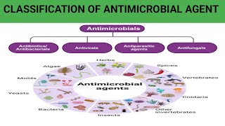 CLASSIFICATION OF ANTIMICROBIAL AGENTANTIBIOTICSPHARMACOLOGY REVISION PHARMACY YOUTUBEVIDEO [upl. by Brott]