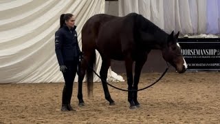 I Took Part in a Huge Demo  Horsemanship Showcase 2023 [upl. by Noeht]