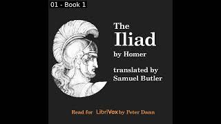 The Iliad Version 2 by Homer read by Peter Dann Part 12  Full Audio Book [upl. by Etterb]