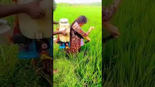 மருந்து அடிப்பு முறை 👋🌿🌴👍sortsvideo [upl. by Solitta]