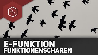 Funktionsscharen bei eFunktionen [upl. by Ing594]