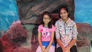 VGP Marine Kingdom  Useful info  chennaidaytrip [upl. by Egoreg]