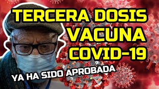 COVID19  💉 TERCERA DOSIS de la VACUNA ¿Es realmente necesaria [upl. by Rossen]