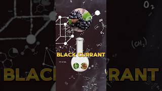 Black Currant with 25 Proanthocyanidins Introducing Exclusive Patented Percepta Professional [upl. by Lytton124]