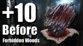 Bloodborne  10 🅱️efore Forbidden Woods [upl. by Ellehctim959]