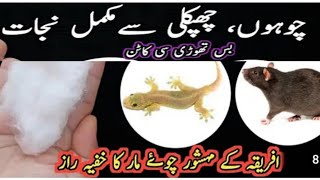 Top Trending Kitchen Hacks low cost Remedy Chohay marne ka tarika [upl. by Oly756]