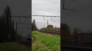 BLS Vectron432 komt als Losse Loc langs Luchthaven van Mortsel Lijn 27A met Mooie Claxon 13112024 [upl. by Naujed]