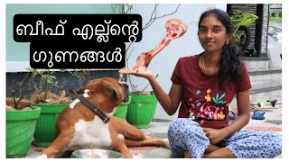 Max നു ബീഫിന്റെ എല്ലു കൊടുത്തപ്പോൾBoxer Dog MalayalamHow To Give Raw Bones For DogsMax Boxer03 [upl. by Tterrag]