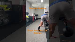 Single Arm Row Isometric 3pk Rotations [upl. by Refinej840]