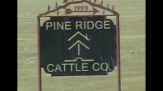 Pine Ridge Ranch Ranch for Sale in Wyoming [upl. by Ahsyad550]