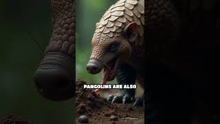 Pangolin Natures Armored Wonder [upl. by Livingstone]