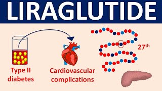 Liraglutide  Mechanism precautions side effects amp uses [upl. by Scoles]