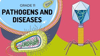 Pathogens and Disease management [upl. by Yelsna908]