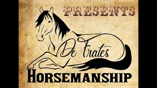 Influencing the Four Pillars of Horsemanship [upl. by Zephaniah]