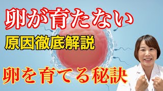 【高齢妊活】卵が育たない、子宮内膜が育たない理由は副腎疲労とセロトニン不足 妊活との関連性について [upl. by Hazel]