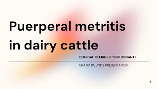 Puerperal metritis in dairy cattle Student case Gr72023 [upl. by Marylou]