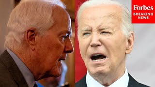 John Cornyn This Is My Question To Biden After New Executive Order On Border Security [upl. by Hgielah]