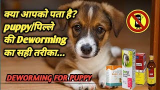 Deworming in Puppy doguniquecafepuppydeworming [upl. by Steffen]