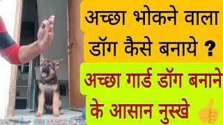 Dog ko aggressive kese banaye🐕😎 Achha barking dog kese banaye  How to make a good guard dog [upl. by Ettezyl]