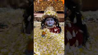 कृष्णस्टेटस krishnabhajan krishna krishnalove shortvideo shyam ytshorts trendingshorts [upl. by Nosbig]