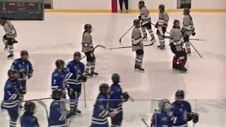 RSEQ Hockey féminin 🏒 Limoilou  ChLennoxville 1062024 [upl. by Ching909]