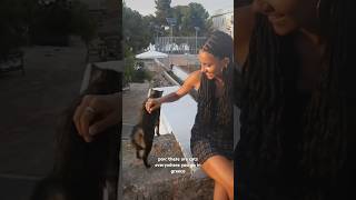 and they’re so friendly greece spetses studyabroad shorts summer [upl. by Luehrmann]