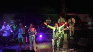 CHIC  LIVE THE SEVENTIES TRIBUTE BAND  2014 [upl. by Berwick]