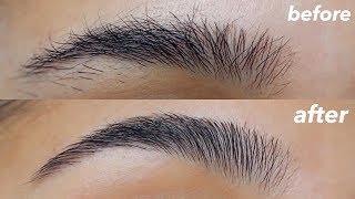 HOW TO GROOM  SHAPE YOUR EYEBROWS super easy  at home [upl. by Pogah309]