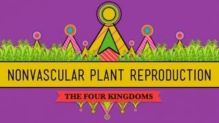 The Reproductive Lives of Nonvascular Plants Alternation of Generations  Crash Course Biology 36 [upl. by Nitniuq]