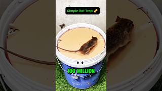 How this simple rat trap got 100 million views 🐀🪣 [upl. by Warfourd]