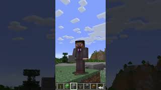 How to Make a CARPET DUPER in Minecraft [upl. by Nirtak]