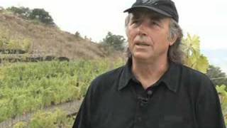 Entrevista con Joan Manuel Serrat en sus viñedos [upl. by Tabb205]