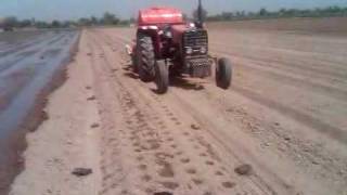 Rice Transplanting in Dry Soil3GP [upl. by Enytnoel]