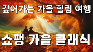 쇼팽 감성을 자극하는 가을의 클래식 멜로디 힐링 음악 가을 힐링음악 클래식음악 쇼팽 녹턴 에튀드발라드 [upl. by Anerrol]