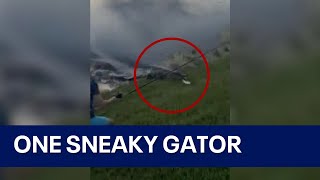 Alligator charges from water to steal Florida boys fish in viral sneak attack [upl. by Maidel]