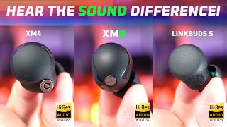 A Rip Off 🤔 Sony WF1000XM5 vs WF1000XM4 vs LinkBuds S [upl. by Snahc]