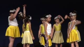 Landau Forte Academy Moorhead Celebration of Dance 2017 [upl. by Nallad980]