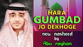 hara gumbad jo dekhoge  হারা গুম্বাদ যো দেখোগে জামানা ভুল জাওগে  Abu rayhan [upl. by Ardnalac421]