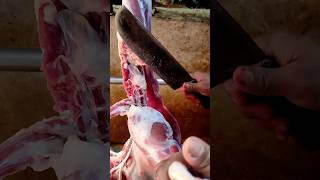 Big Goat 2 Lags Processing Mutton Cutting trending shorts [upl. by Prent]