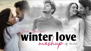 winter love Mashup 2024  Love mashup 2024  Lofi amp songs [upl. by Emili]